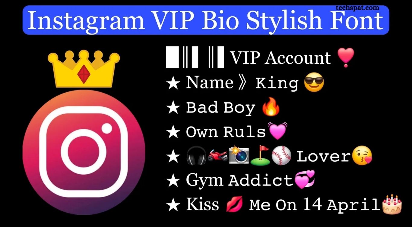 Best VIP Instagram Bio in Stylish Font